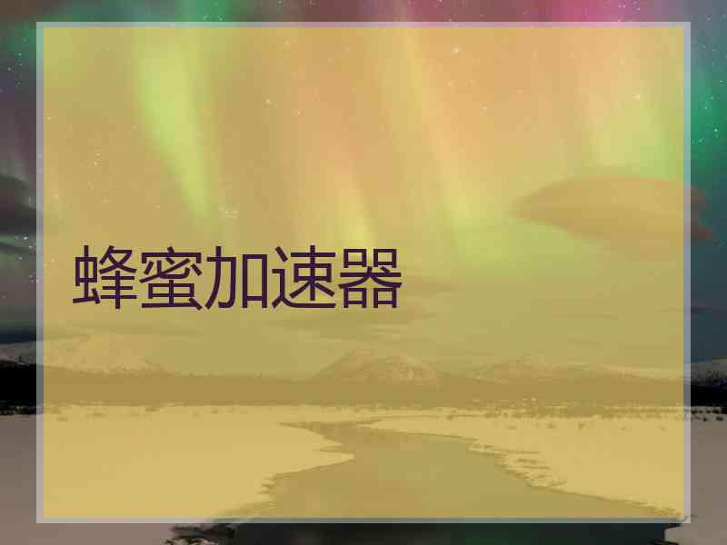 蜂蜜加速器