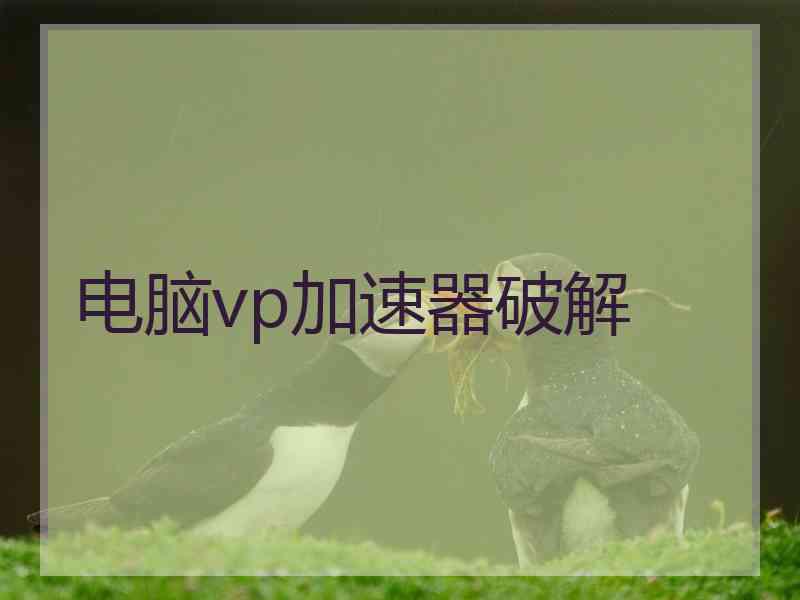 电脑vp加速器破解