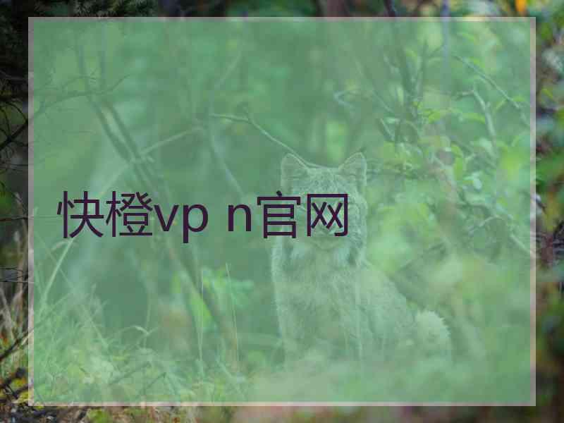 快橙vp n官网