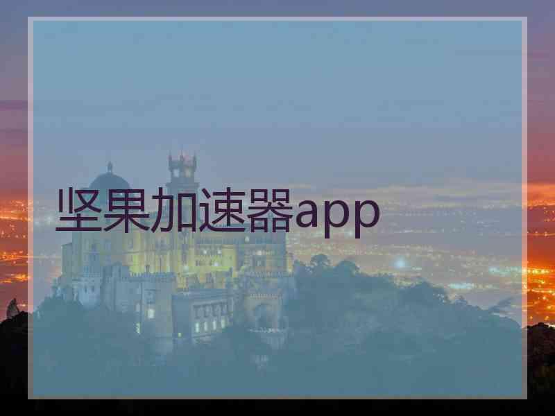 坚果加速器app