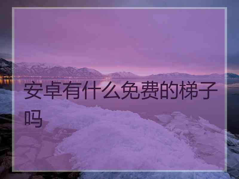 安卓有什么免费的梯子吗