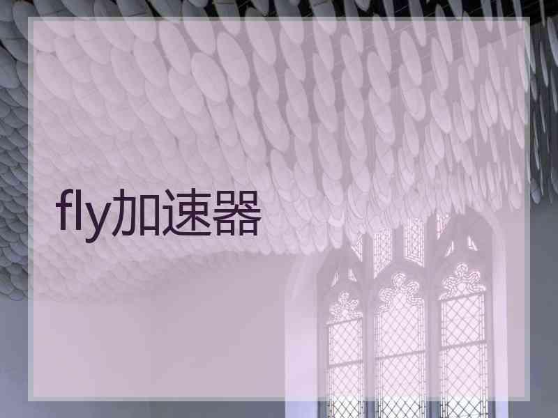 fly加速器