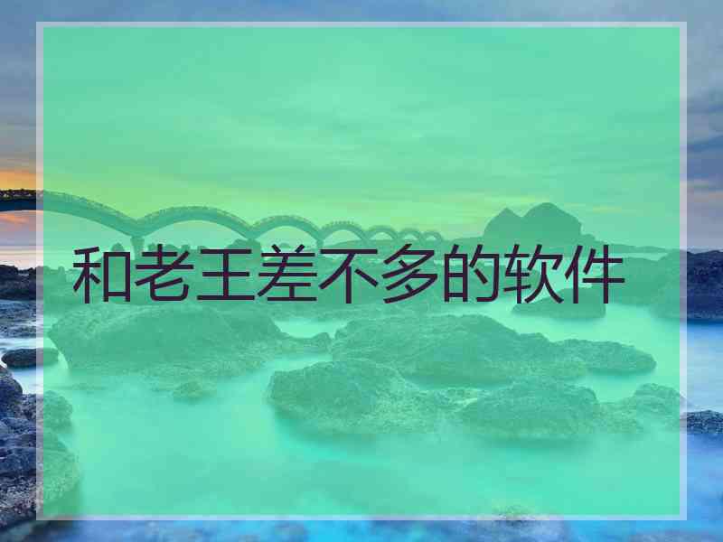 和老王差不多的软件