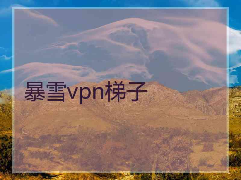 暴雪vpn梯子