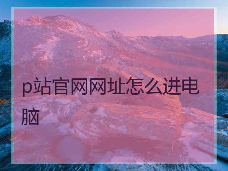 p站官网网址怎么进电脑
