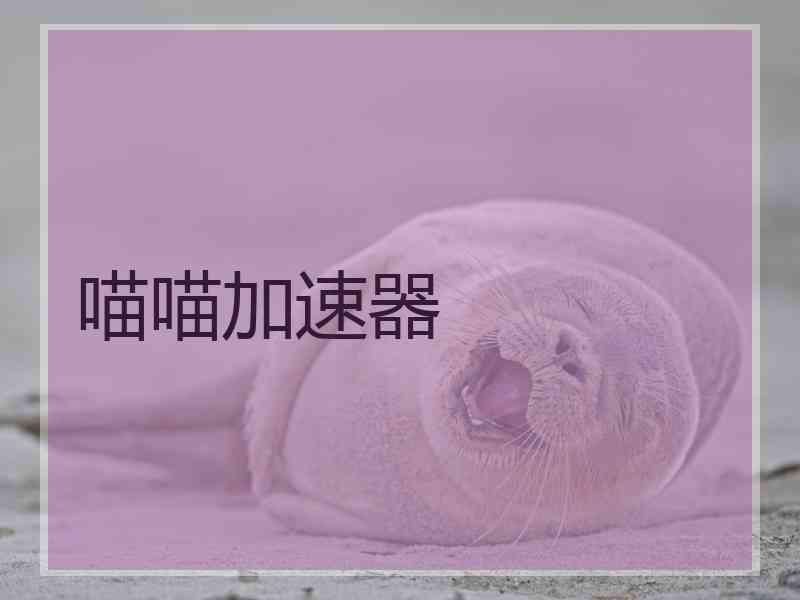 喵喵加速器