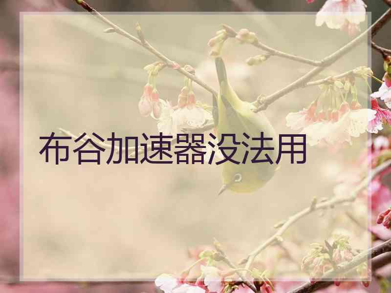布谷加速器没法用