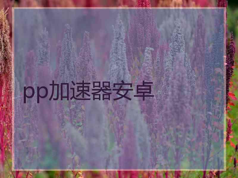 pp加速器安卓