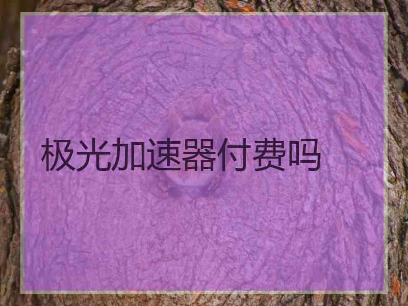 极光加速器付费吗