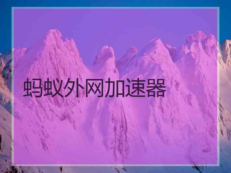 蚂蚁外网加速器