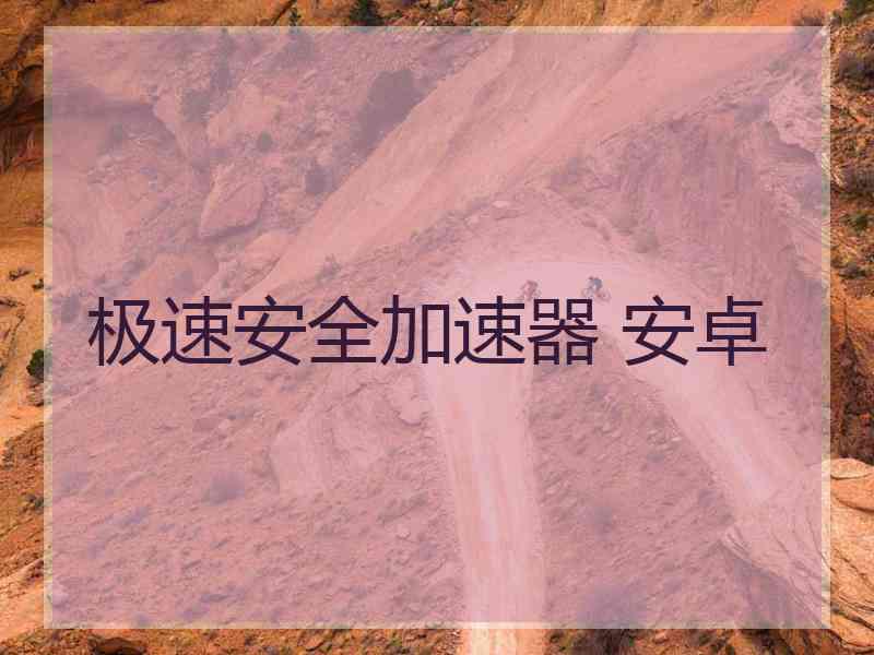 极速安全加速器 安卓