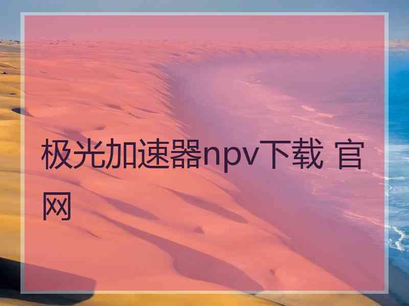 极光加速器npv下载 官网