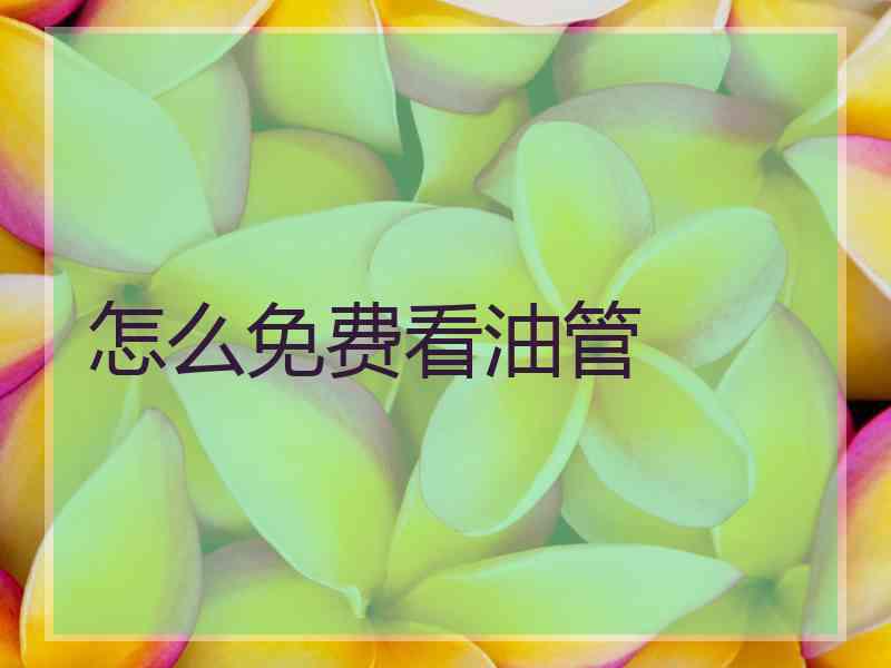 怎么免费看油管