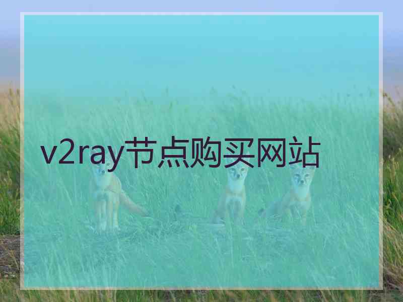 v2ray节点购买网站