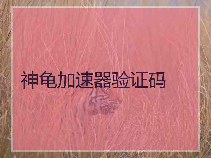神龟加速器验证码