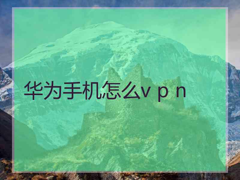 华为手机怎么v p n
