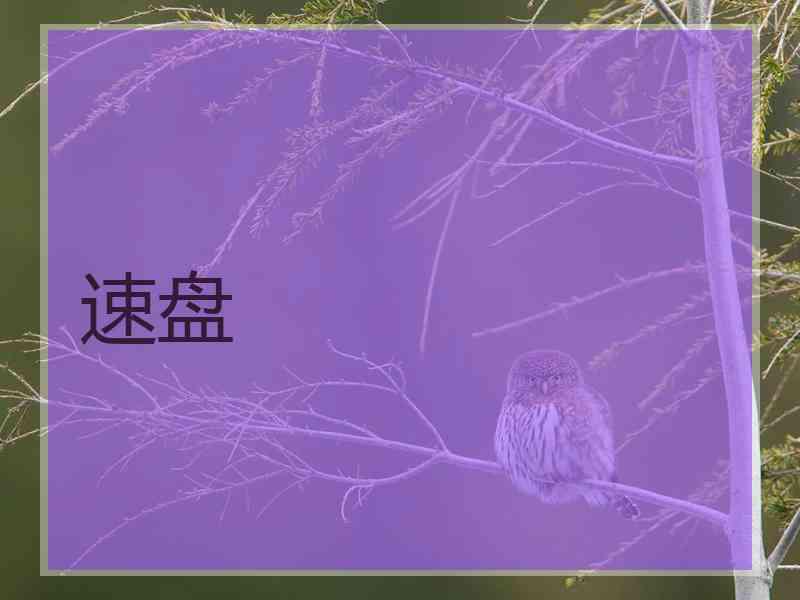 速盘
