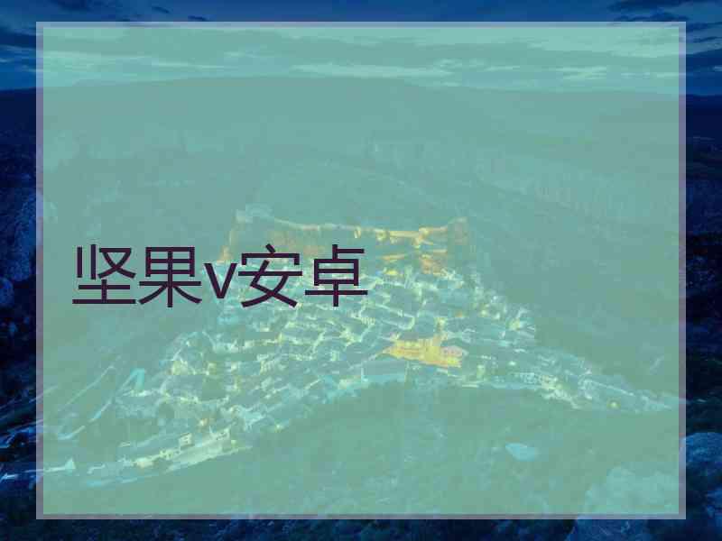 坚果v安卓