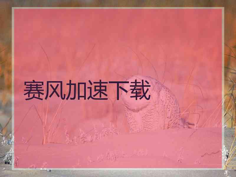 赛风加速下载
