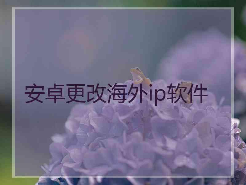安卓更改海外ip软件