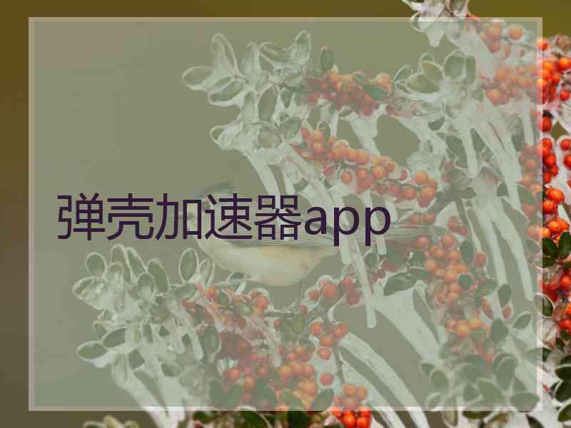 弹壳加速器app