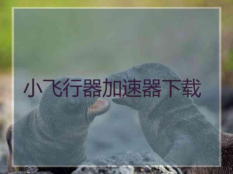 小飞行器加速器下载
