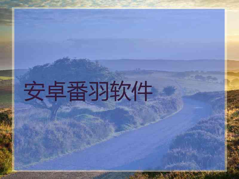 安卓番羽软件