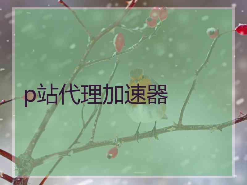 p站代理加速器