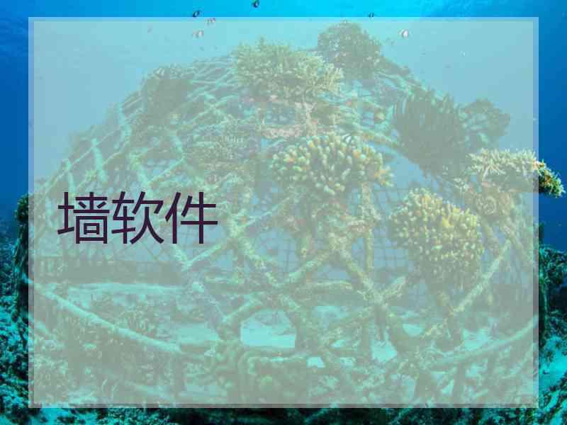 墙软件