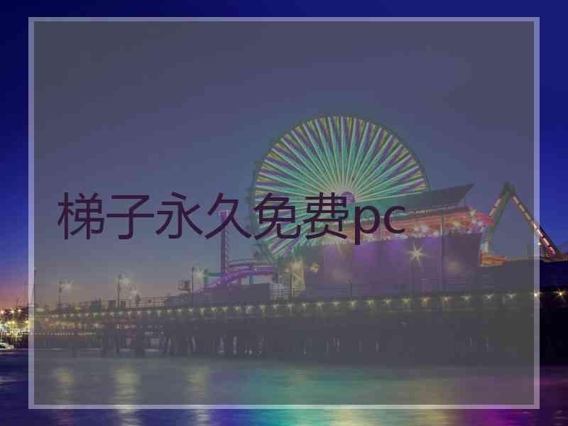 梯子永久免费pc