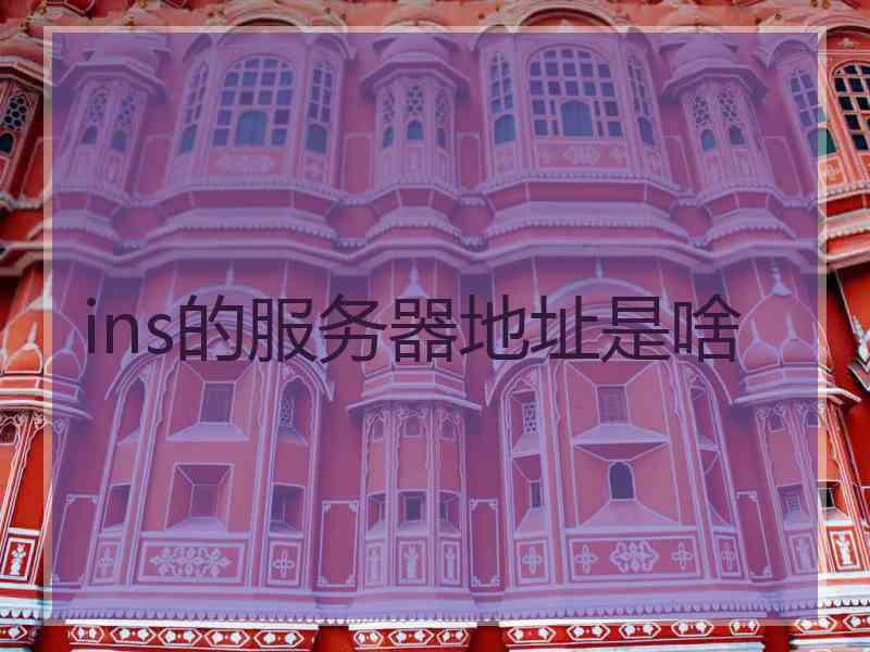 ins的服务器地址是啥