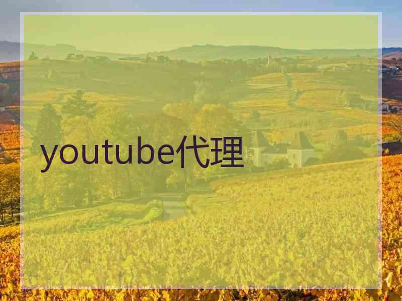 youtube代理