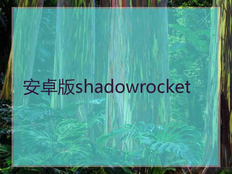 安卓版shadowrocket