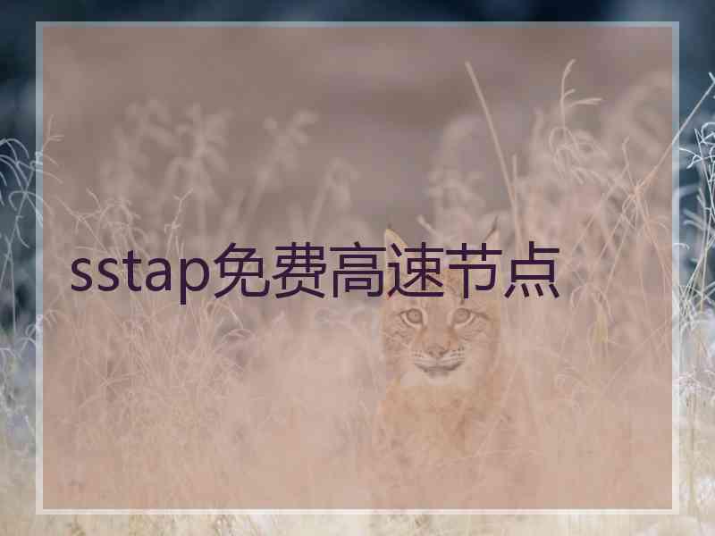 sstap免费高速节点