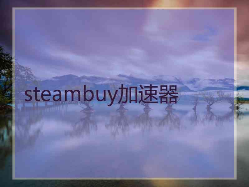 steambuy加速器